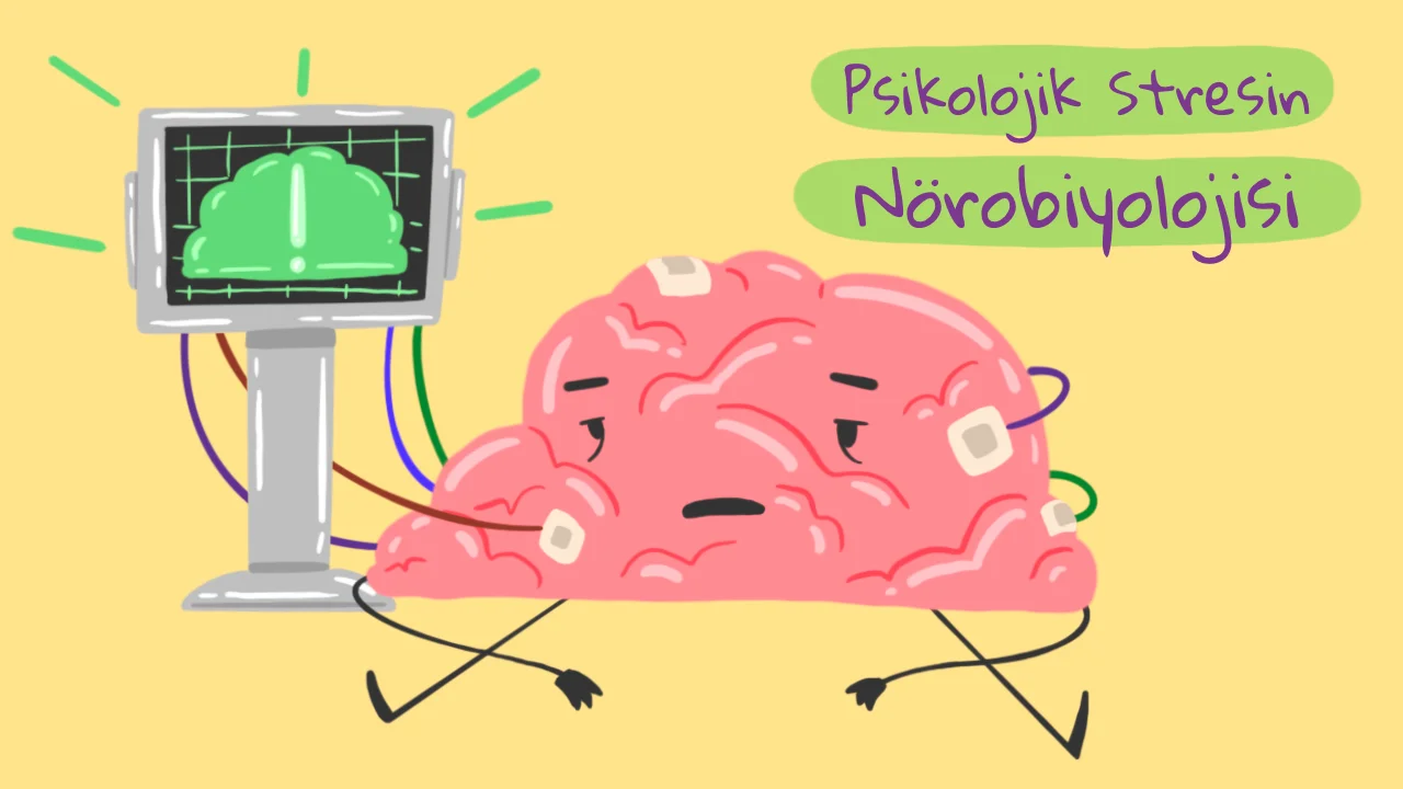 Psikolojik Stresin Nörobiyolojisi: HPA Ekseni, Adrenalin ve Bağışıklık Sistemi