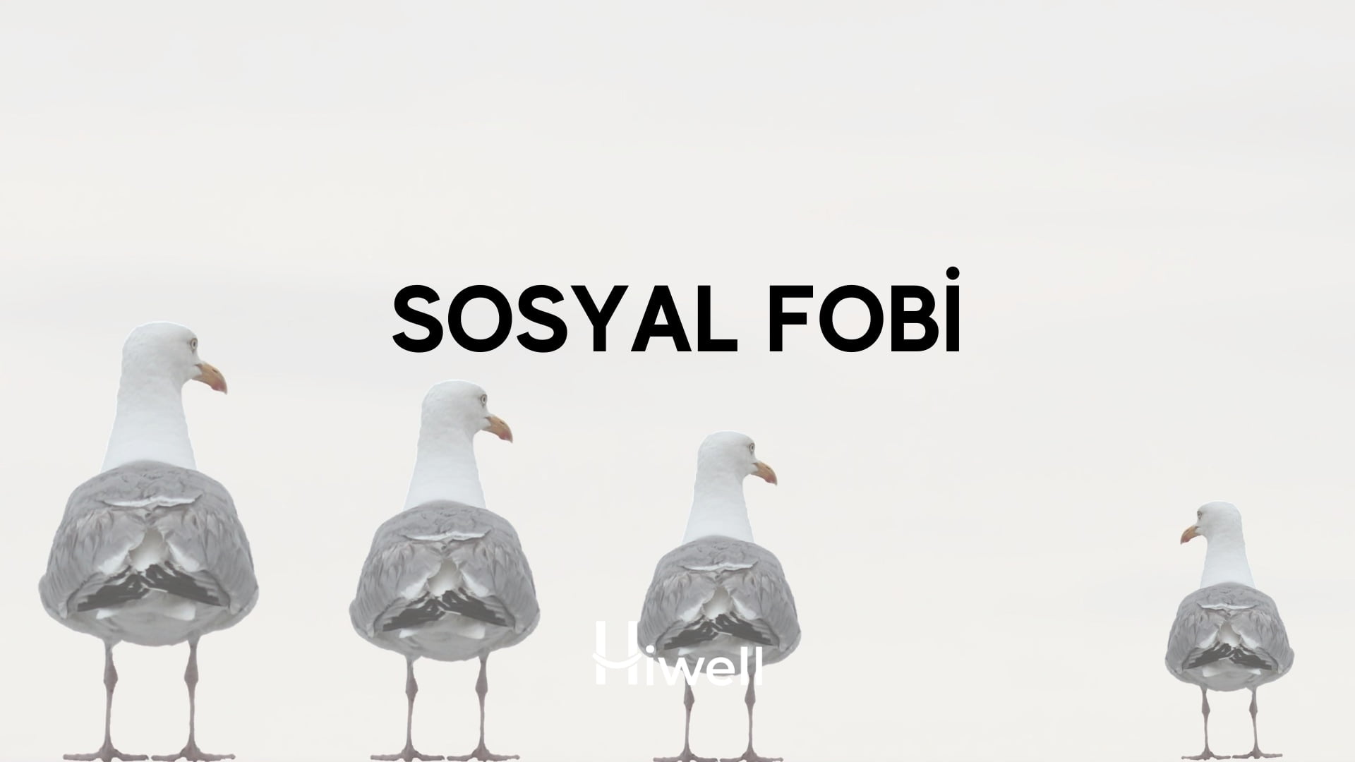 Sosyal Fobi & Sosyal Anksiyete Bozukluğu Nedir? Nasıl Yenilir?