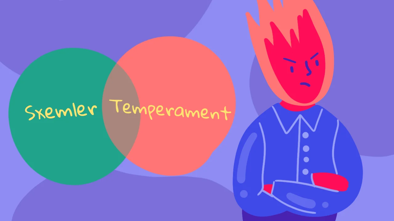 Temperament Nədir? Sxemlər Xasiyyətimizə Necə Təsir Göstərir?