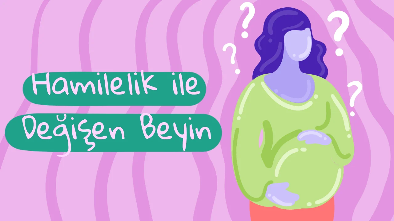 Hamilelik Beyni Nasıl Etkiler? Hamilelikte Beyin Yapısında ve İşleyişindeki Değişiklikler