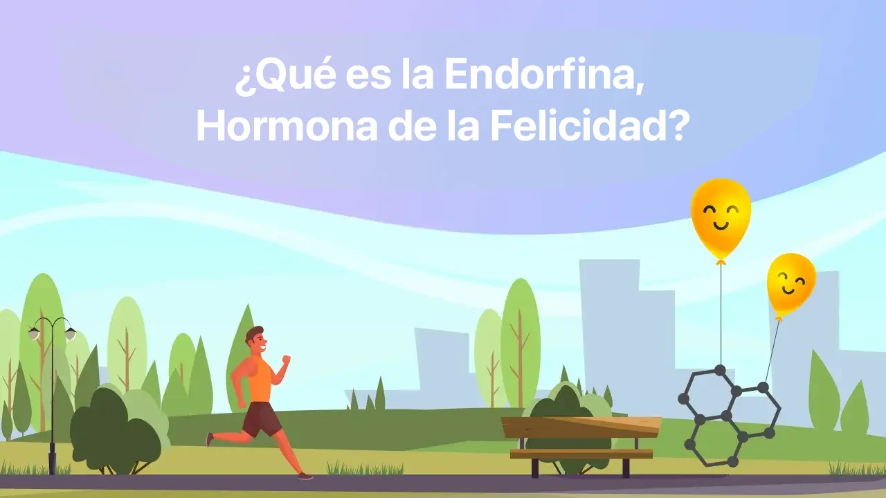 ¿Qué es la Endorfina, Hormona de la Felicidad? ¿Cómo Puedes Aumentar tus Endorfinas?