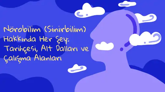 Nörobilim (Sinirbilim) Hakkında Her Şey: Tarihçesi, Alt Dalları ve Çalışma Alanları